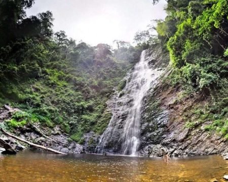 7189175006_c3a85ec299_c